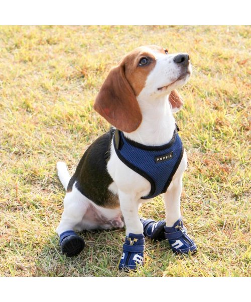 犬 靴 犬靴 犬用靴 ドッグシューズ スニーカー 夏 肉球やけど防止 ファスナー 履かせやすい くつ 【春 夏 春夏 夏服 毛抜け防止 毛落ち防止 おしゃれ 可