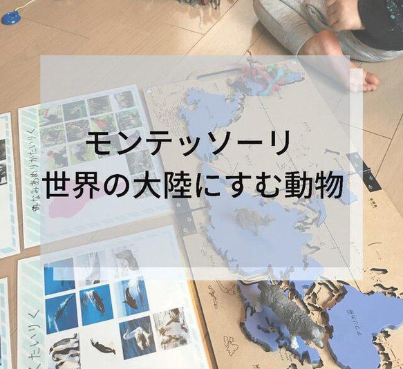 ☆モンテッソーリ☆ 7大陸に住む動物 絵カード・ワークシート