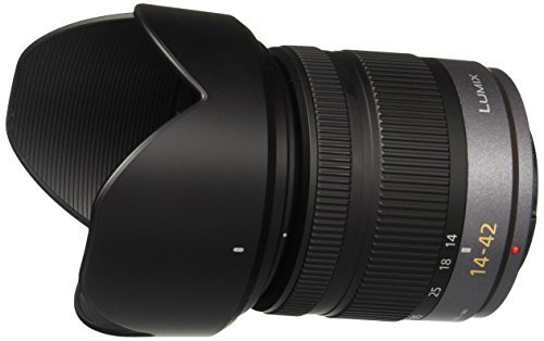 パナソニック LUMIX G VARIO 14-42mm F3.5-5.6 ASPH. MEGA O.I.S H-FS014042【中古品】