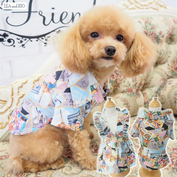 ワンピース シャツ テディベア ファミリー 犬 ワンピ トップス 小型犬 猫 ペット 服 犬服 可愛いP298 P299