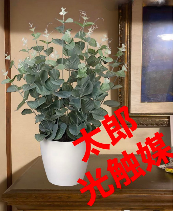 光触媒　人工観葉植物　ウォールグリーン　フェイクグリーン　ユーカリ高さ42センチ