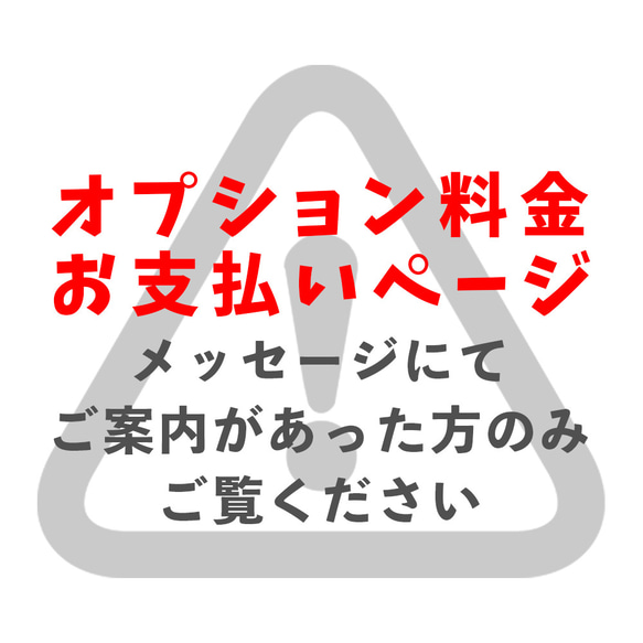 オプション料金お支払いページ(500円分)