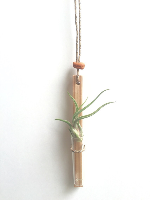 プランツハンギング#04/wood plant wall hanging by po-em