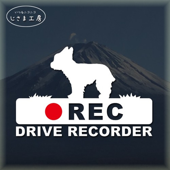 ヨークシャテリアの白シルエットステッカー後方注意!!『DRIVE　RECORDER』