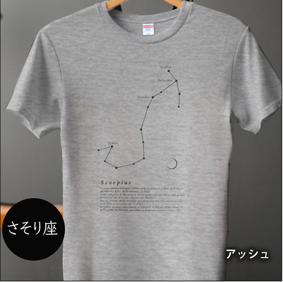 tシャツ　Tシャツ　星座Tシャツ　かわいいＴシャツ　半袖Tシャツ　プレゼント　おしゃれTシャツ　白ティー