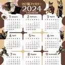 さび猫2024年カレンダー A２サイズ　2枚セット