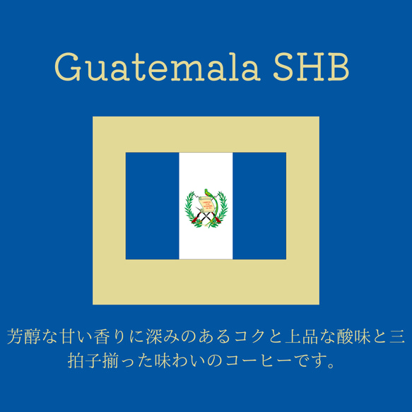 送料無料で届く新鮮な自家焙煎コーヒー豆｜ガテマラSHB｜300g（150g×2袋）｜中深煎り