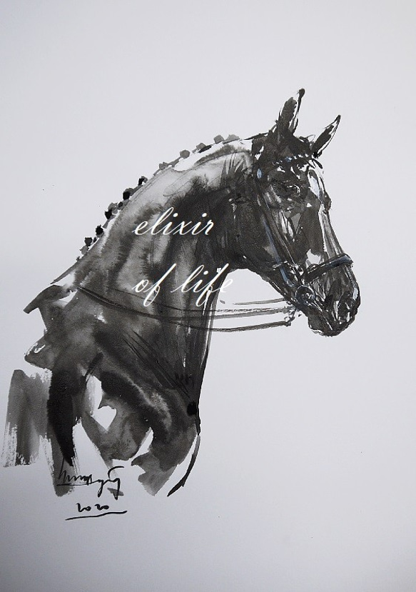 Dressage Horse（墨絵、水彩、水彩画用紙、A4）