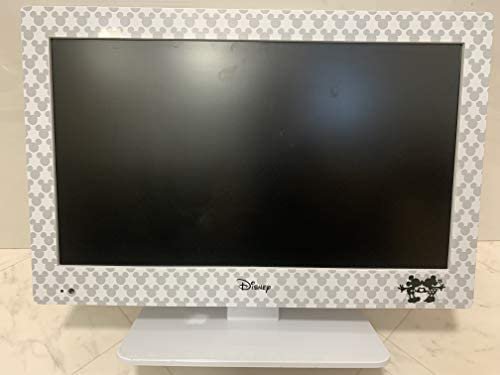 REAL LIFE JAPAN ミッキー&ミニー DVD内蔵 デジタルハイビジョン LEDテレビ 19型 DY-TV190MM-WH【中古品】