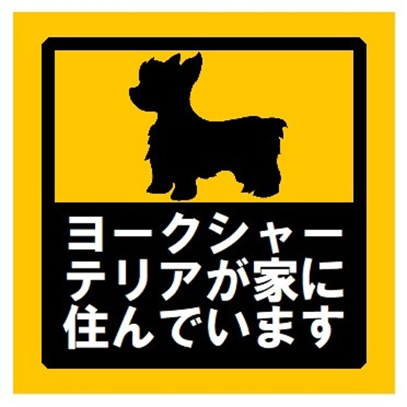 玄関 UVカット ステッカー ヨークシャーテリアが家に住んでおります