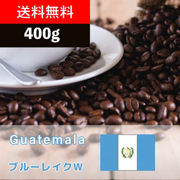 爽快な酸味と香り！グアテマラ ウォッシュド 400g - マイルドな味わい | 受注焙煎 | 豆・粉選択可能