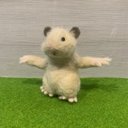 ☆ダンシングハムちゃん☆ キンクマハムスター ハムミーム 羊毛フェルト一点物作品 ぬいぐるみ