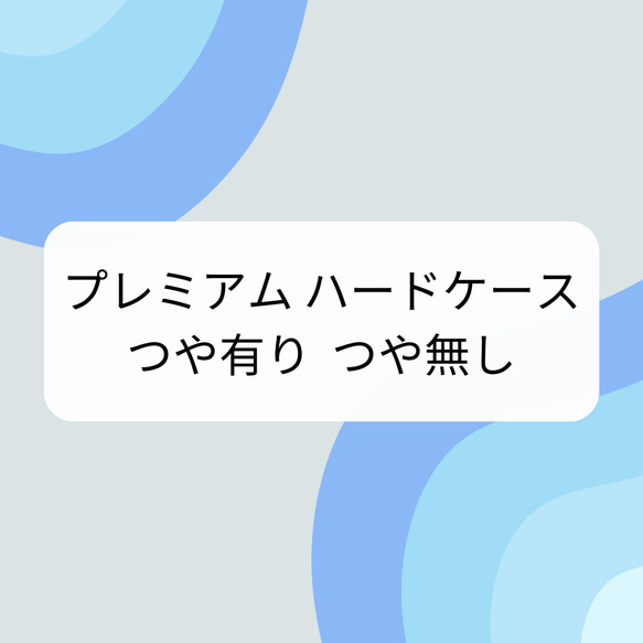 【プレミアム・ハードケース】