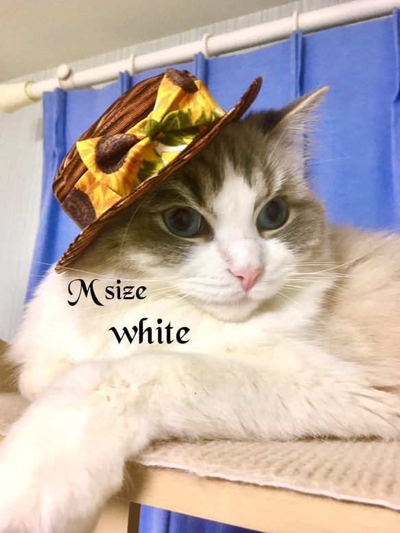 猫のカンカン帽　Mサイズwhite