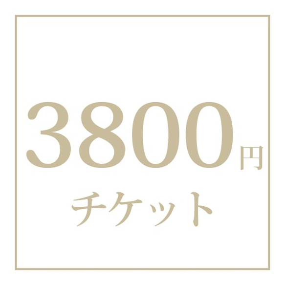 【オプション】チケット　3800円