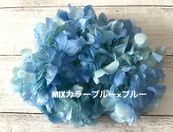 ブルー×ブルーキラキララメ付き紫陽花❣️ハーバリウム花材プリザーブドフラワーアジサイ紫陽花