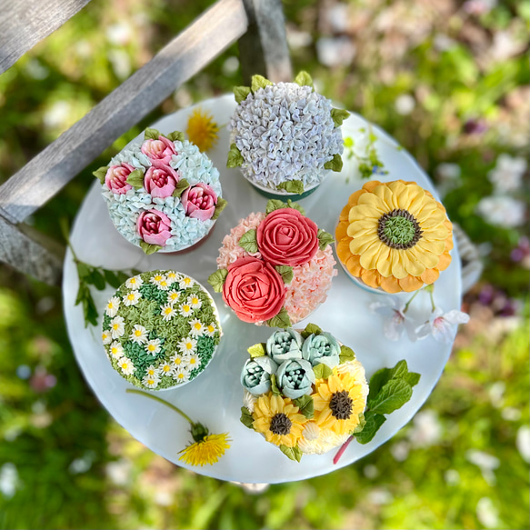 cupcake flowers box 2024 B/フラワーカップケーキ6個セット /【母の日2024】