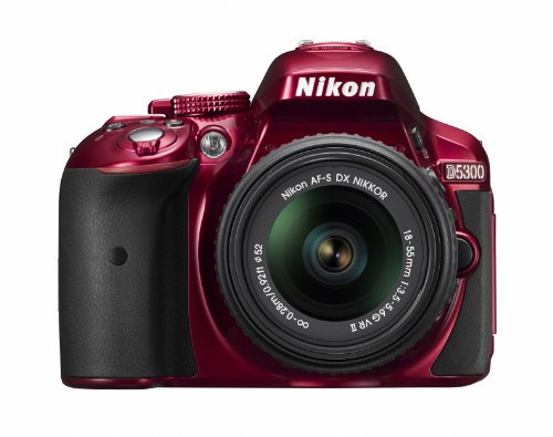 Nikon デジタル一眼レフカメラ D5300 18-55mm VR II レンズキット レッド 2400万画素 3.2型液晶 D5300LK18-55VR2RD【中古品】