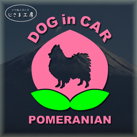 ポメラニアンのDOGinCAR　かわいい桃ちゃんステッカー。