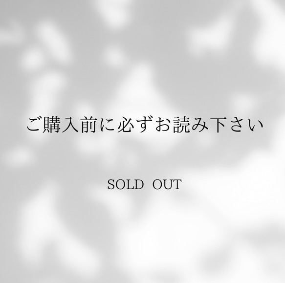 購入前にお読み下さい【注意事項】※not for sale