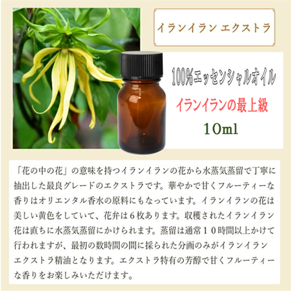 【セール】高品質精油・100％ピュアエッセンシャルオイル「イランイランエクストラ」10ml　イランイランの最上級品