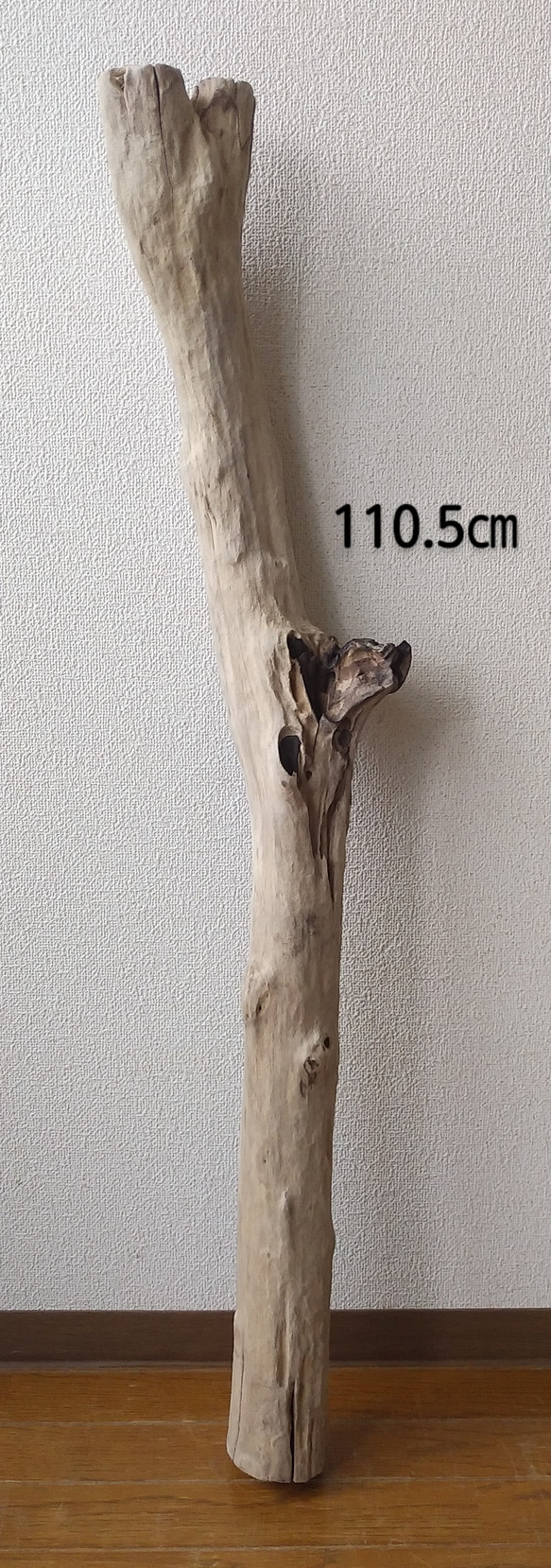 流木　長さ　約１１０．５ｃｍ