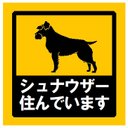 玄関 マグネットステッカー シュナウザー住んでます