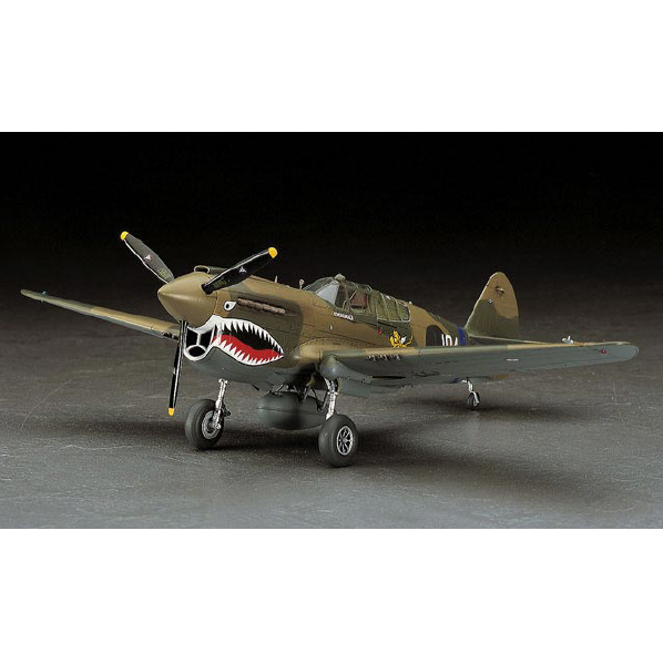 ハセガワ 1/48 P-40E ウォーホーク H48ﾋJT86N