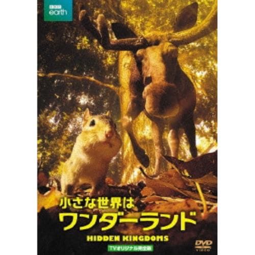 【DVD】小さな世界はワンダーランド TVオリジナル完全版