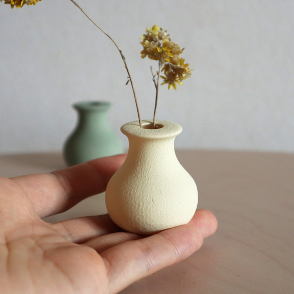 SMALL VASE -CHITOSAN PAINT-