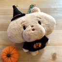 きーちぇーんぽくぽくのハロウィンセット