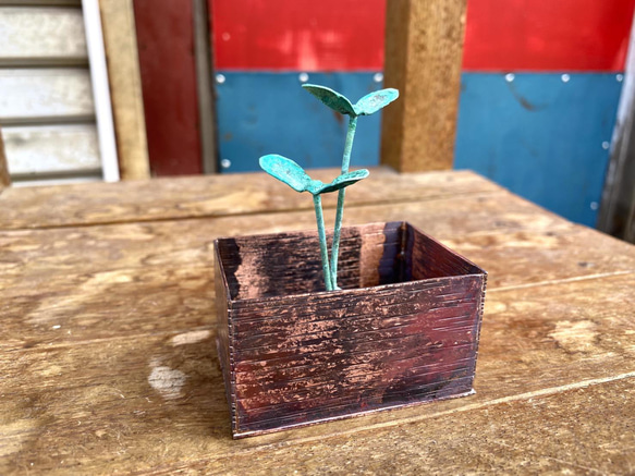 [銅板造形作品] 木箱と二本の若葉　The Wood box with two young leaves