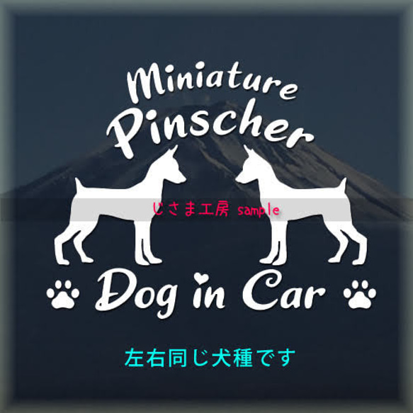 【同一犬種】　かわいい愛犬2頭飼い『Dog　in　Car』シルエットステッカー