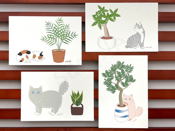 《猫のイラスト》ポストカード4枚セット「猫にやさしい観葉植物」