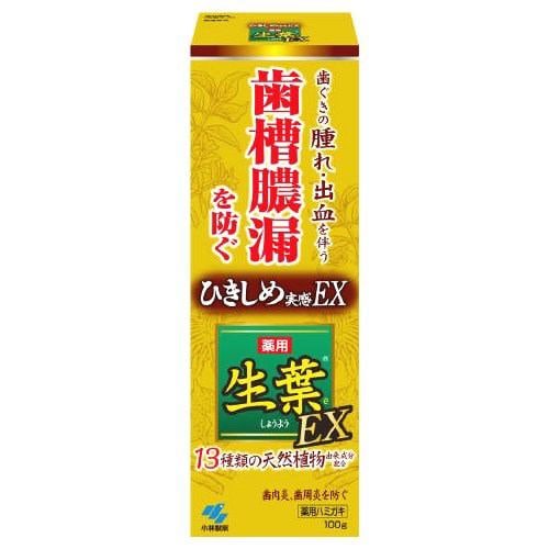 小林製薬 生葉ＥＸ１００Ｇ生葉