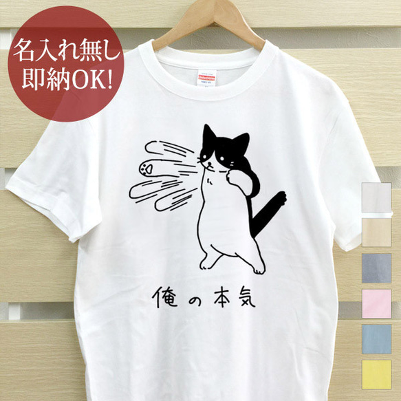 俺の本気 ハチワレ猫 ネコパンチ ねこ 動物 レディース メンズ Tシャツ おもしろTシャツ 綿100%  即納