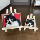 愛猫フレーム猫　オーダー猫　羊毛フェルト　羊毛フェルト猫　額縁猫　フレーム猫　猫　愛猫　等身大　オーダーメイド　リアル　リアル猫　ペット　ペットロス　羊毛フェルトオーダー猫