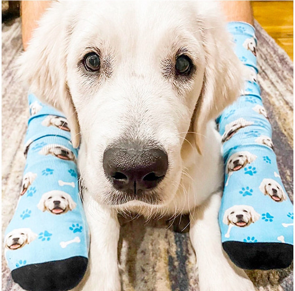 オーダーメイド　靴下　愛犬・愛猫ペット・動物　うさぎ　鳥　ハムスタ-　ペット　インテリア