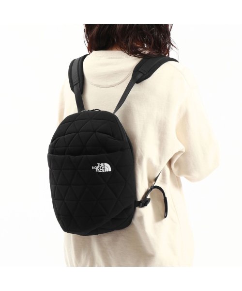 日本正規品 ザ・ノース・フェイス リュック リュックサック 小さめ 小型 ブランド THE NORTH FACE A5 6L ミニ NM32351