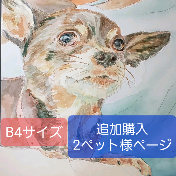 大切なペットさんの似顔絵　スペシャルオーダーB4サイズ・追加購入ページ(額なし・送料別)