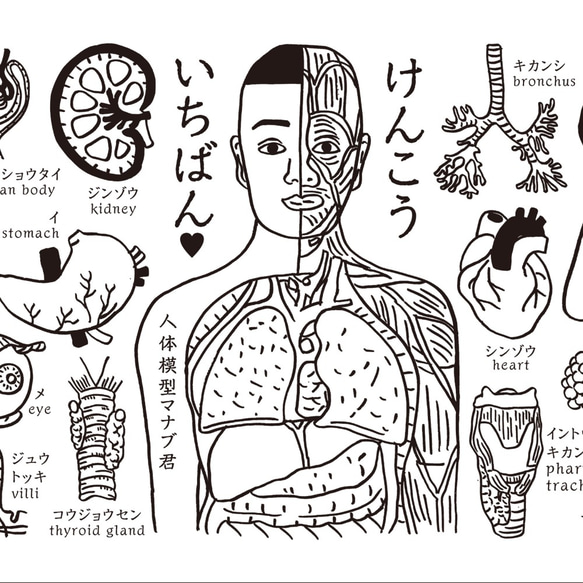 人体模型マナブくん手ぬぐい