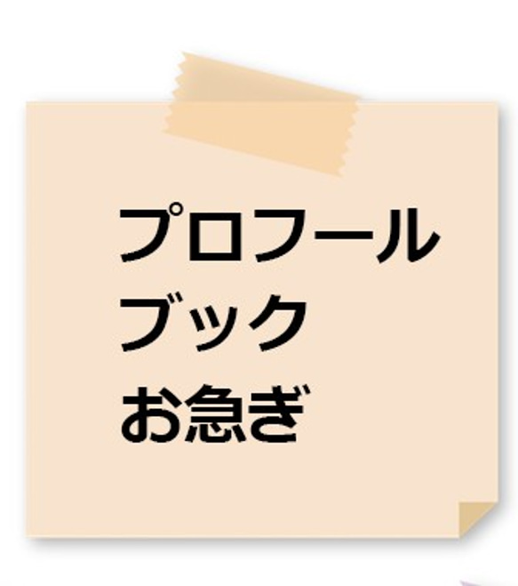 【10部単位】お急ぎオプション プロフィールブック制作します/テンプレ利用です【シンプル】