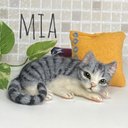 mia  受注商品 サバトラ  さば白  キジトラ  猫 置物  かぎしっぽ