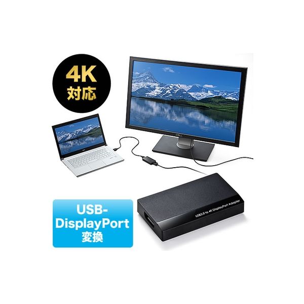 サンワダイレクト USB-DisplayPort変換アダプタ 500-KC009DP 1個（直送品）