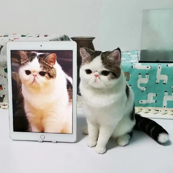 【オーダーメイドペット】羊毛フェルト、うちの子　猫ぬいぐるみ、フェルト猫、羊毛猫、肖像画、犬猫人形 プレゼントやギフトに