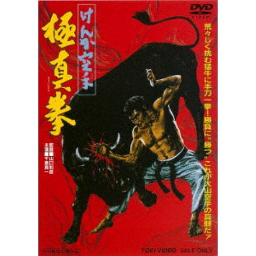 【DVD】けんか空手 極真拳