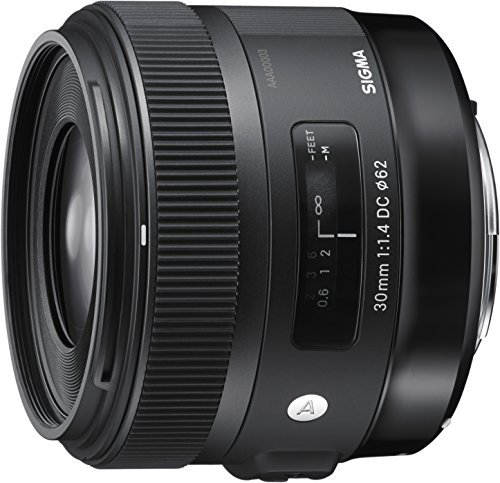 SIGMA 単焦点レンズ Art 30mm F1.4 DC HSM ソニー用 APS-Cサイズ 301620【中古品】