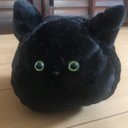 まんまる黒猫