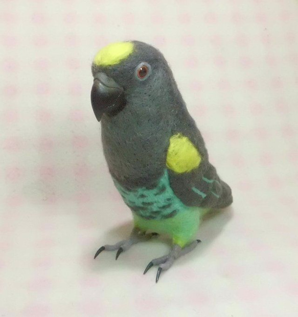 ライフサイズ♪ ムラクモインコ 羊毛フェルト 羊毛インコ 鳥好きさん プレゼント・ギフト・贈物・メモリアル　受注作成