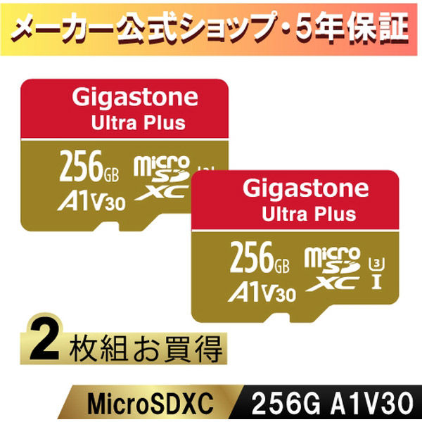 Nintendo Switch確認済マイクロSDカード 256GB 2枚セット GJMXR-256GV3A1100R-2PK 1セット(2枚)